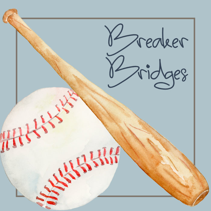 Baseball Calling Card