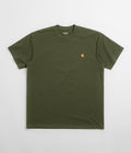 Carhartt American Script T-Shirt in Tarragon