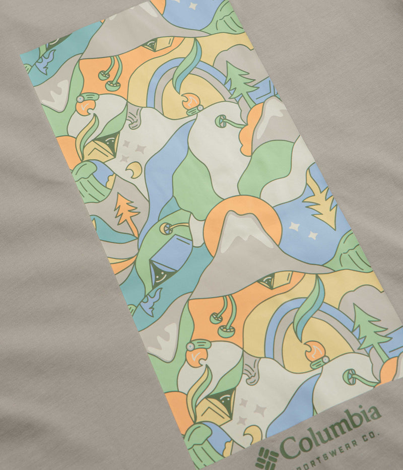 Columbia Explorers Canyon Back T-Shirt in Flint Grey and Epicamp Graphic