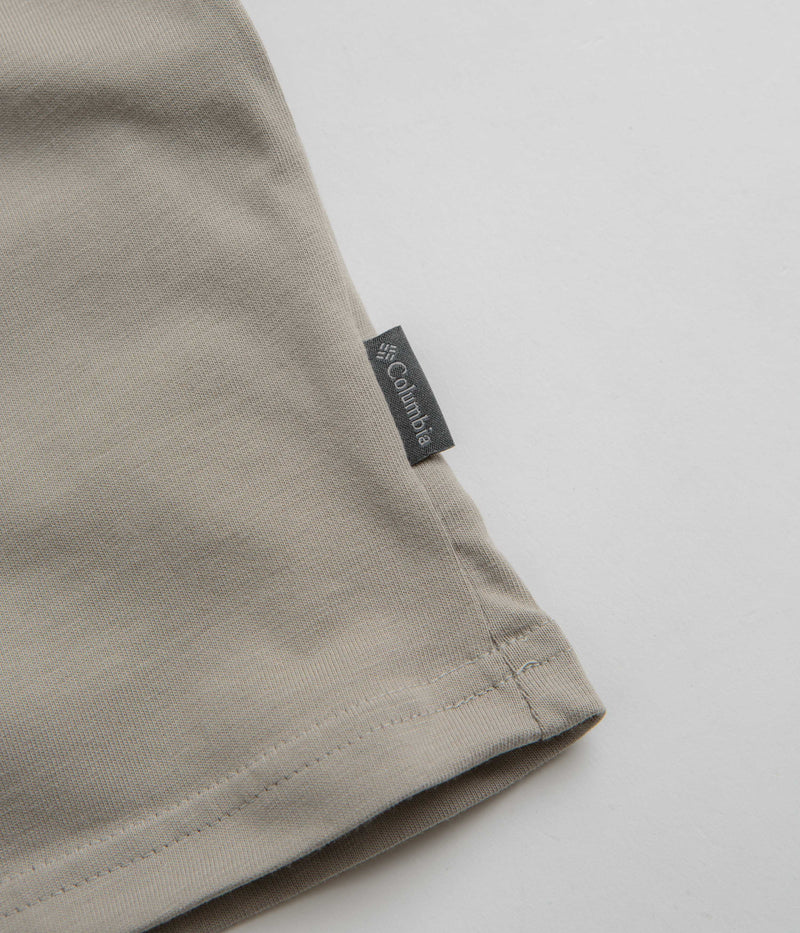 Columbia Explorers Canyon Back T-Shirt in Flint Grey and Epicamp Graphic