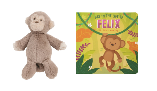 Day In The Life Of Felix The Monkey Book