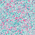 Dianthus Wavy Checks - 658