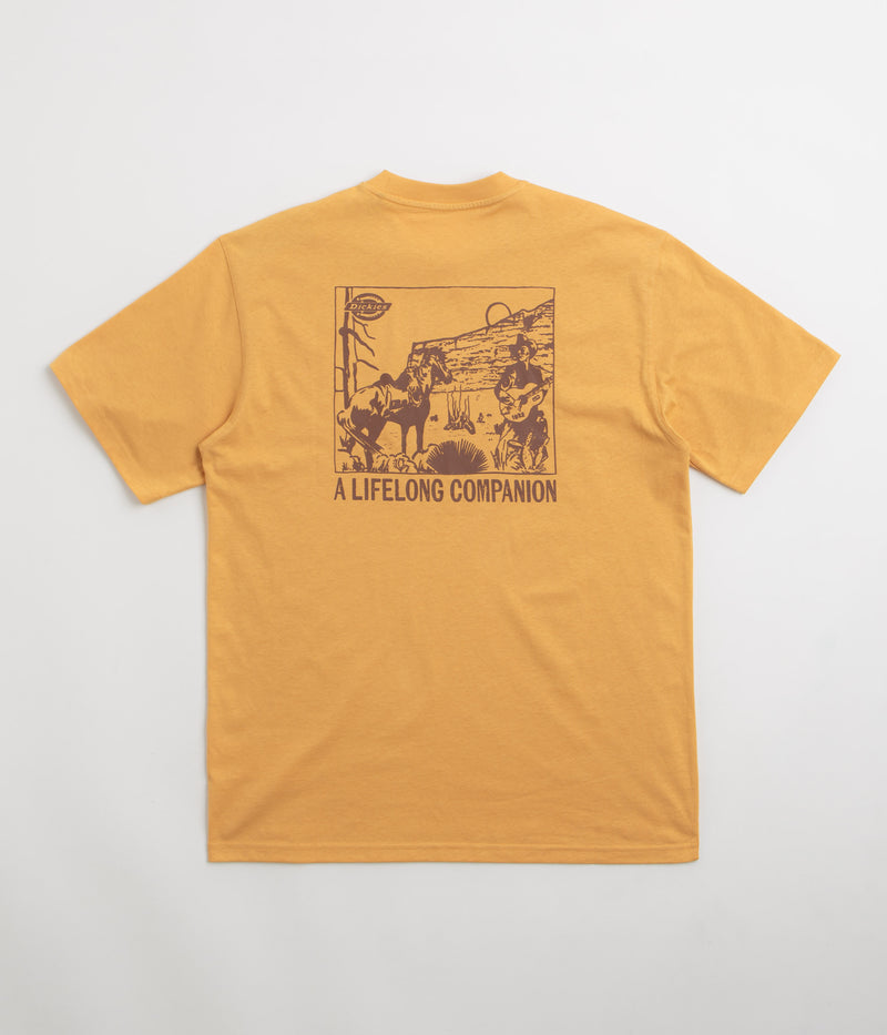 Dickies Companion T-Shirt in Oak Buff