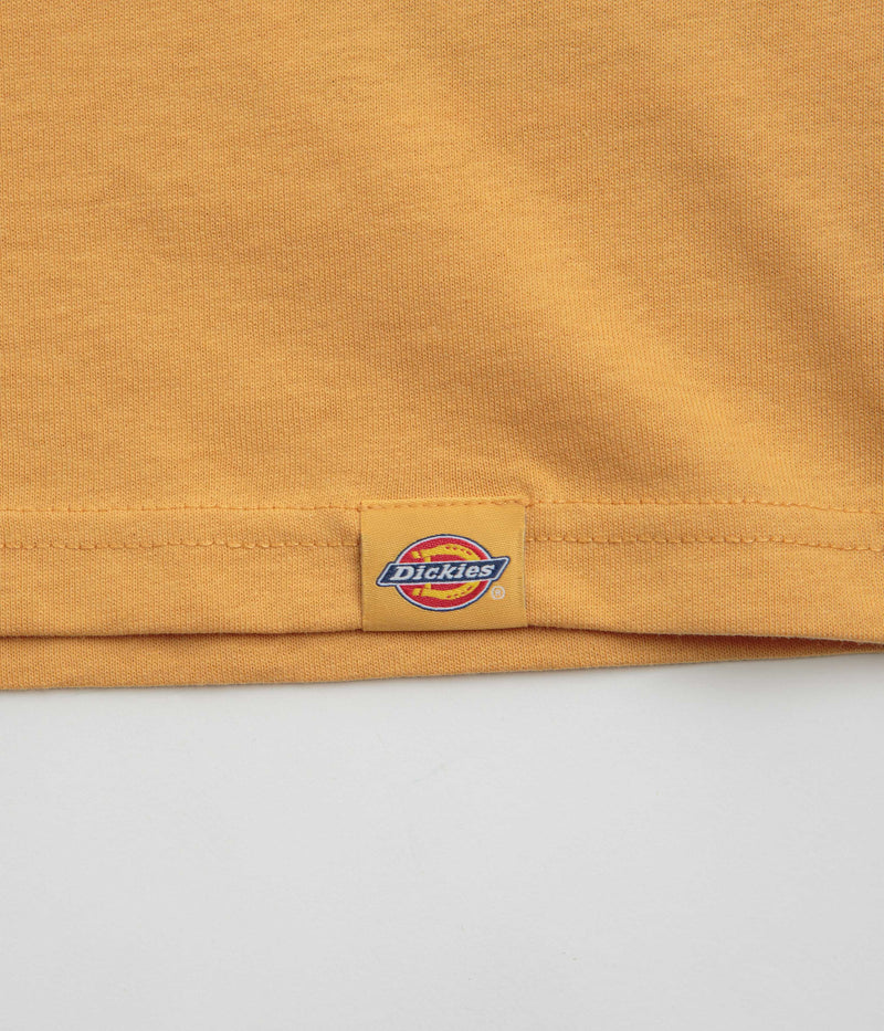 Dickies Companion T-Shirt in Oak Buff