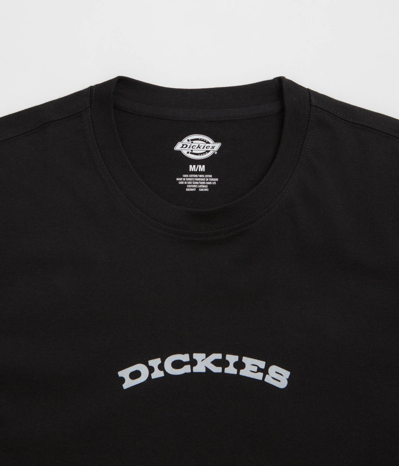 Dickies Dickies Outdoor T-Shirt in Black