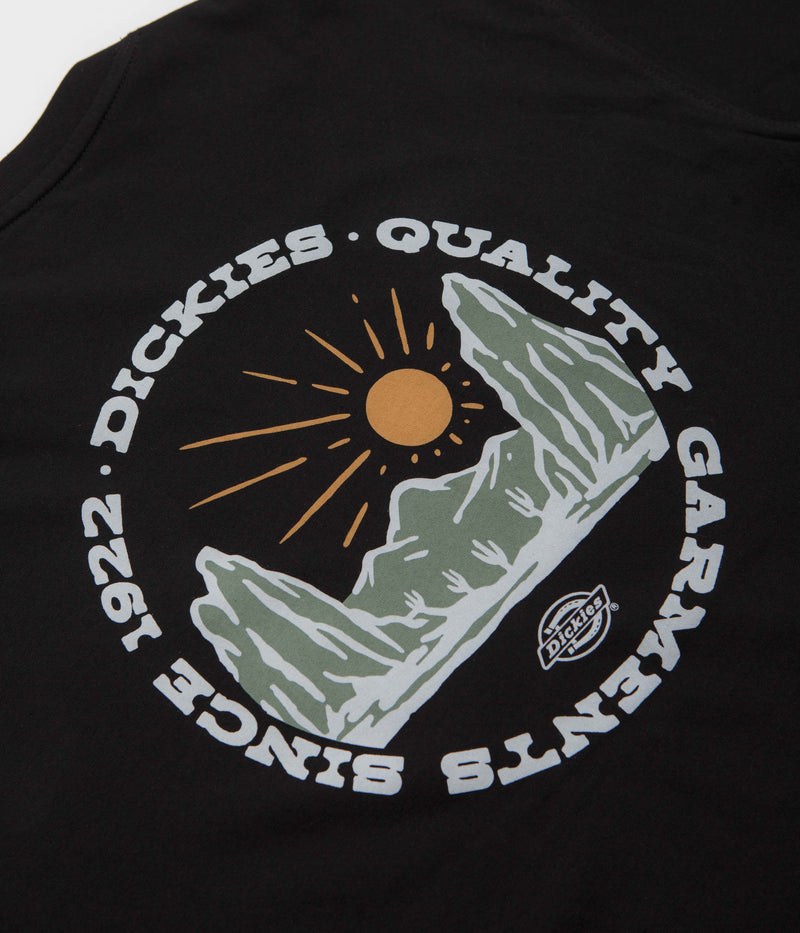 Dickies Dickies Outdoor T-Shirt in Black