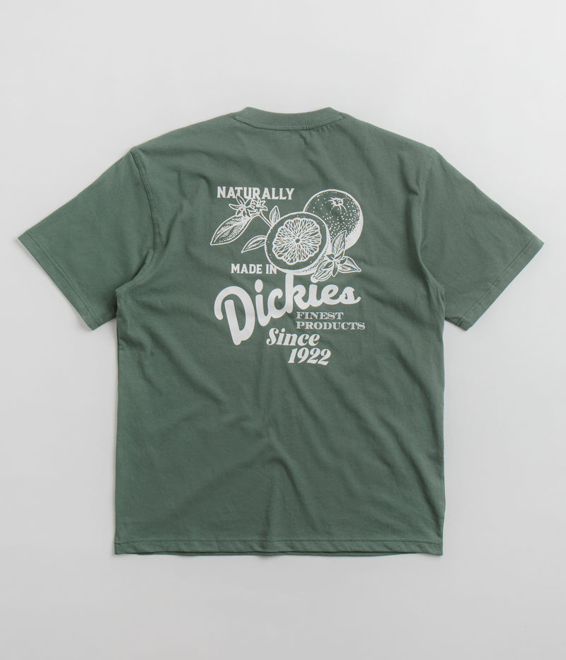 Dickies Raven T-Shirt in Dark Forest