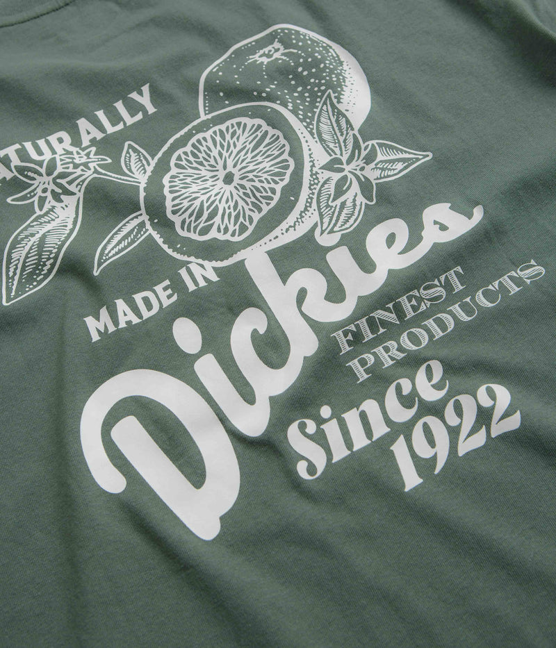 Dickies Raven T-Shirt in Dark Forest