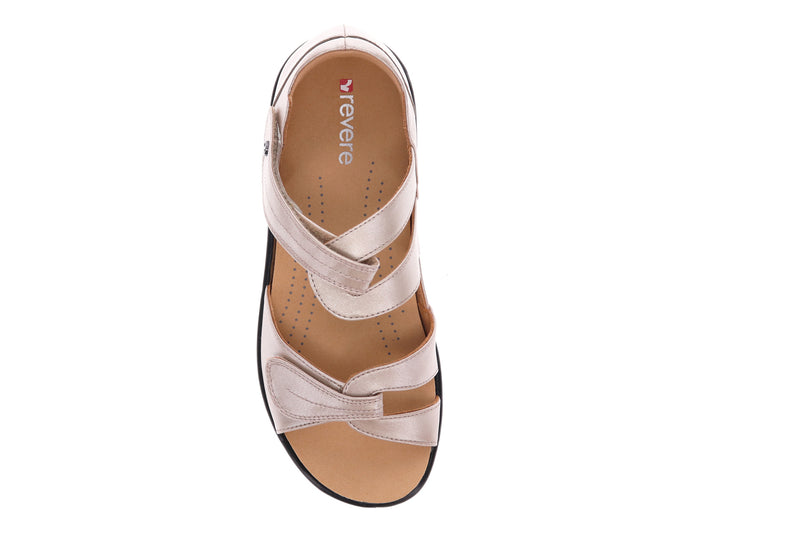 bunions