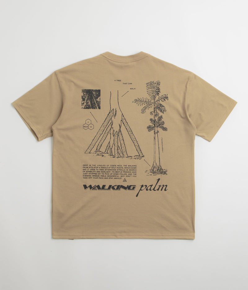 Nike ACG Walk Tree T-Shirt in Parachute Beige