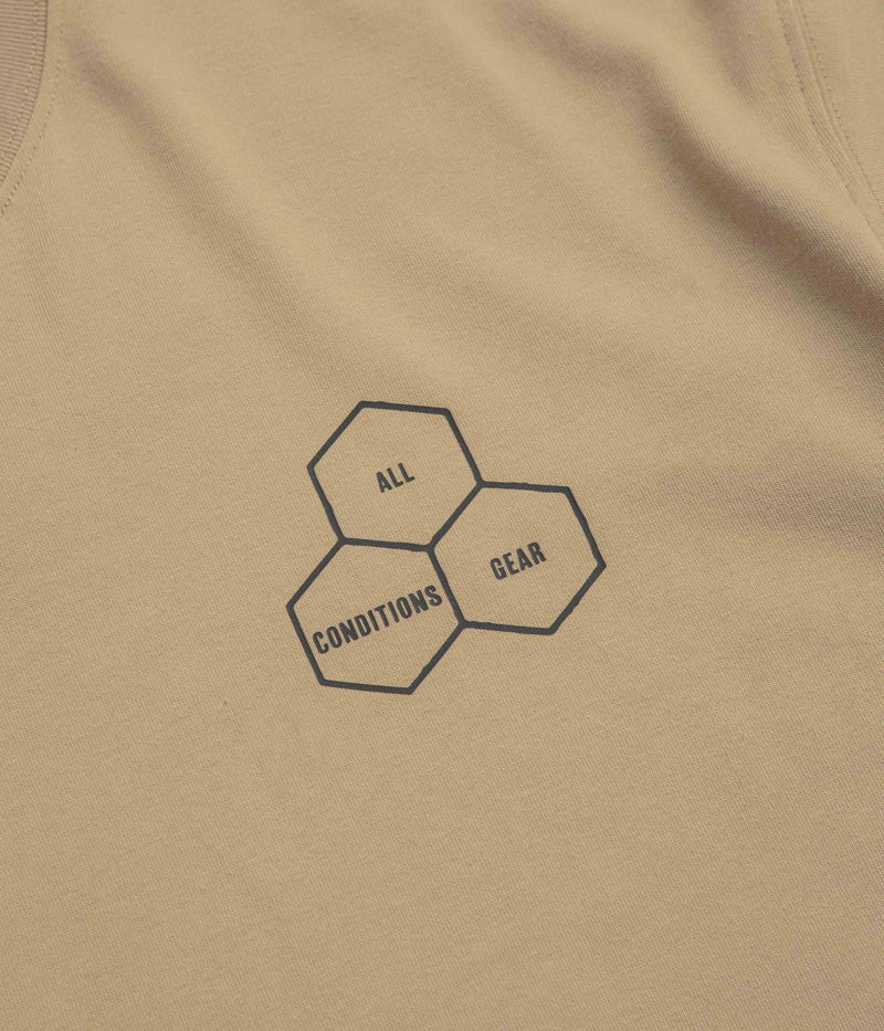 Nike ACG Walk Tree T-Shirt in Parachute Beige