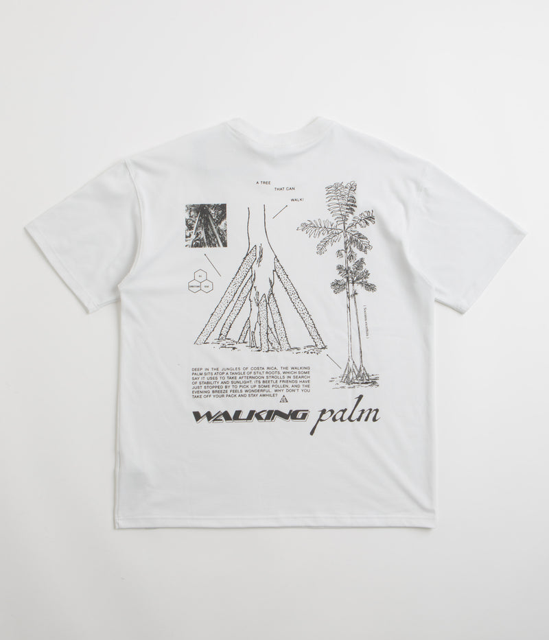 Nike ACG Walk Tree T-Shirt in Summit White