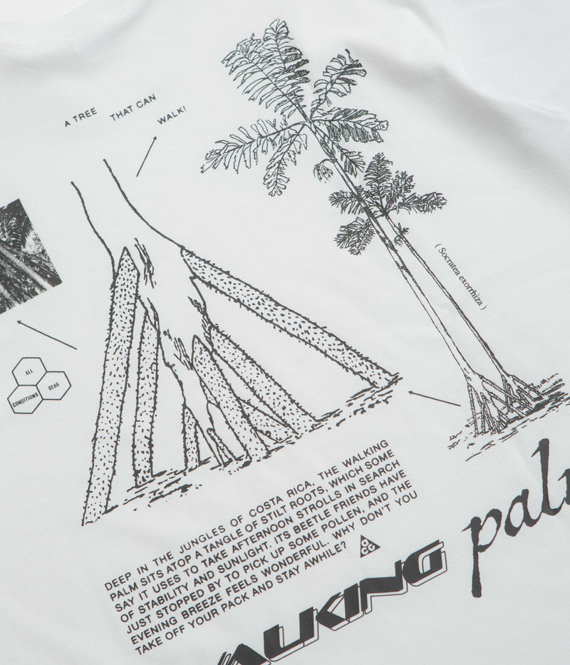 Nike ACG Walk Tree T-Shirt in Summit White