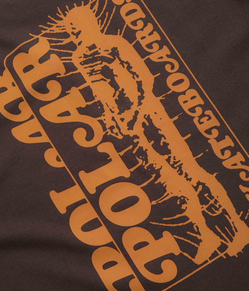 Polar Fields T-Shirt in Chocolate