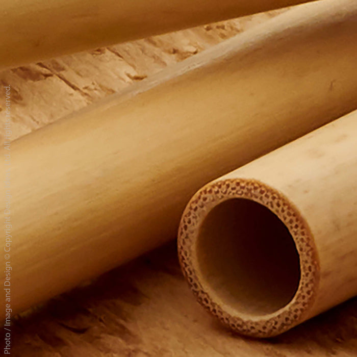 Singaoire Bamboo Straws