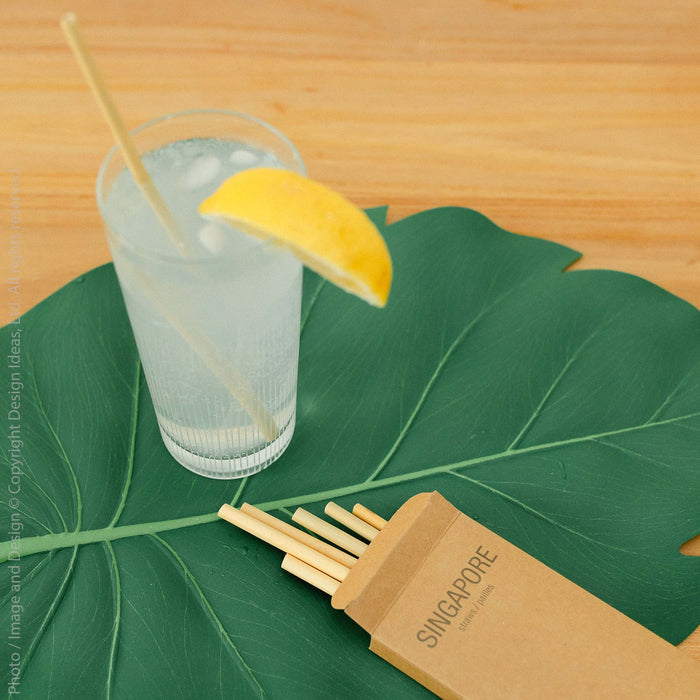 Singaoire Bamboo Straws