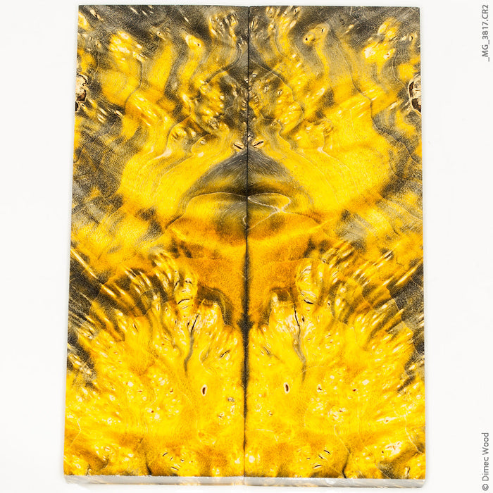 Stabilized box elder burl wood panels